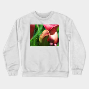 Arum Abstract Crewneck Sweatshirt